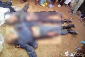 Cameroun: Touboro, deux présumés bandits tués par les militaires