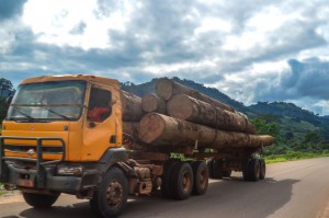 Côte d'Ivoire: Danané, fermeture de l'usine du groupe Thanry, le PV d'un huissier contredit le rapport du ministère des Eaux et Forêts