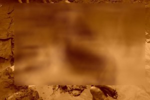 Côte d'Ivoire: Un microbe lynché à  mort à  Yopougon