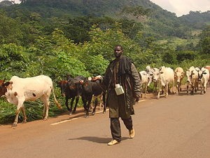 Côte d'Ivoire: Un nouveau conflit inter-communautaire éclate au nord-ouest du pays, de nombreux blessés