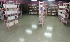 Côte d'Ivoire: Paris fait don de 20 000 ouvrages à  la Bibliothèque nationale