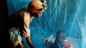 Cameroun: Lutte contre le paludisme,  distribution de 2 310 829 Milda  dans la région du centre