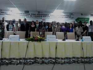 Cameroun: Bassin du Congo, des ONGs mobilisent près de 3 milliards de FCFA pour sauver les populations forestières