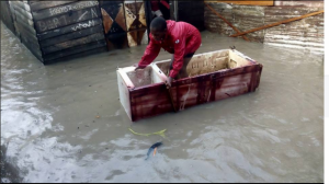 Cameroun: Douala sous les eaux, les dégà¢ts matériels en cours d'évaluation