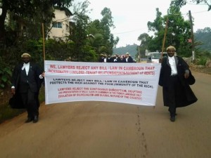 Cameroun: Bamenda, les avocats manifestent contre le nouveau Code pénal