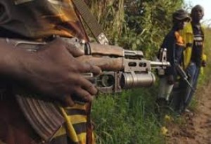 RDC: Le gouvernement annonce la neutralisation de 75 miliciens à  l'Est du pays