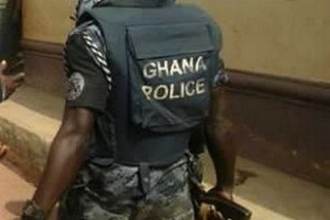Ghana: Elections 2016: Ordre à  la police de dissoudre «la sécurité privée» de tous les partis