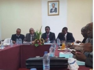 Cameroun: Adoption du Code pénal controversé, le bras de fer se poursuit entre avocats et gouvernement