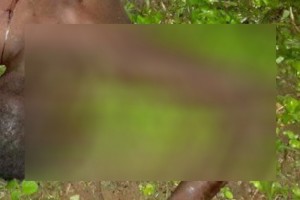 Côte d'Ivoire: La police abat un bandit à  Treichville