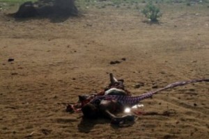 Nigeria:  L'armée déjoue un  triple attentat à  Monguno, deux femmes kamikazes abattues
