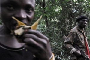 RDC:  Une position de l'armée attaquée  par des rebelles hutus,  deux morts
