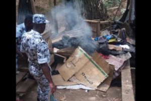 Côte d'Ivoire: La police détruit les fumoirs construits dans la forêt du Banco