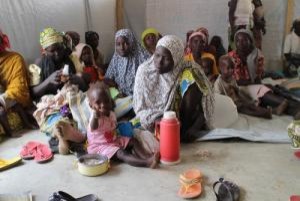 Nigeria: Situation sanitaire « désastreuse » dans le nord-est , MSF tire la sonnette d'alarme