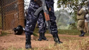 RDC: Des affrontements  entre l'armée et des rebelles de l'ADF font sept morts