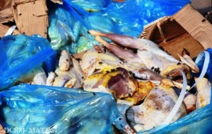 Burkina Faso: 30 tonnes de poulets avariés saisis dans une gare d'autobus