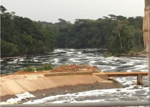 Cameroun: Greenpeace accuse l'Unesco  d'avoir échoué à  protéger la réserve du Dja des nombreuses menaces