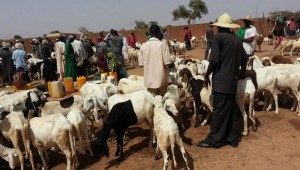Burkina Faso: La fête de la Tabaski fixée au 12 septembre