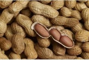 Koacinaute: Manger de l'arachide réduirait la mortalité cardiovasculaire