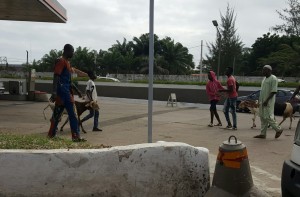 Côte d'Ivoire: Attécoubé, un homme se pend dans sa chambre