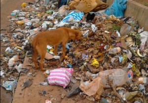 Cameroun: Insalubrité à  Yaoundé, les ordures ménagères  envahissent chaussées et trottoirs