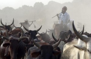 Nigeria: Des éleveurs peuls lynchés à  mort dans le centre