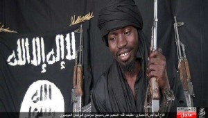 Nigeria: Une embuscade de Boko Haram fait neuf morts au moins et 19 blessés