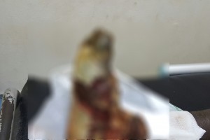 Côte d'Ivoire: Yopougon, des restes humains découverts dans un sachet en face de la caserne des sapeurs pompiers