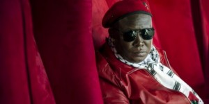 Afrique du Sud: Julius Malema appelle à  s'emparer des terres