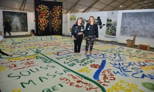 Koacinaute: Toile Géante : l'art écologique citoyen au  rendez-vous de la COP 22 de Marrakech
