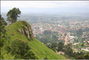 Cameroun: Le ministre des forêts suspend 25 exploitants forestiers pour une durée de 06 mois