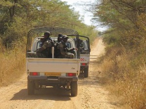 Cameroun: Une vingtaine de présumés combattants de Boko Haram tués par l'armée