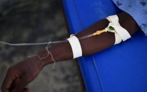 Niger: L' épidémie de fièvre de la Vallée du Rift fait 32 morts