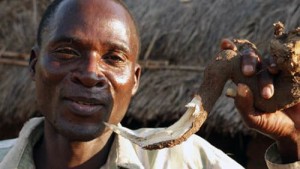 Malawi: Le séropositif qui déflorait des adolescentes  reconnu coupable