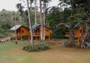 Cameroun: Découvertes touristiques, le site d'Ebogo et le parc des grands singes visités par le Sg/OMT