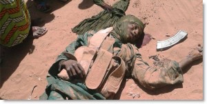 Nigeria:  30 éléments de Boko Haram abattus dans des affrontements avec l'armée