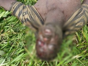 Côte d'Ivoire: Adjamé, un homme tailladé à  mort à  la place des martyrs