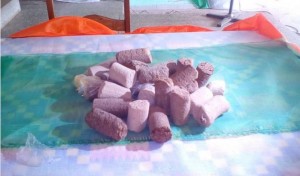 Côte d'Ivoire: Lutte contre la déforestation,  les briquettes de balles de riz pour remplacer le charbon