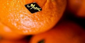 Koacinaute: Verdict  de la Cour Européenne de Justice : un froid sibérien s'est abattu sur le polisario et son sponsor algérien.