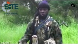 Nigeria: Abubakar Shekau qualifie de «mensongers» la reprise de la forêt de Sambisa