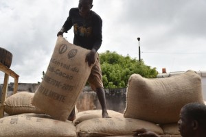 Côte d'Ivoire: Le Cacao n'est pas payé, les planteurs célèbrent la nouvelle année dans la mélancolie