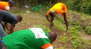 Côte d'Ivoire: Panique, suite aux résultats d'une enquête du gouvernement, MONHEVEA.COM arrête les souscriptions