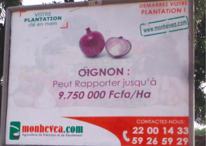 Côte d'Ivoire: «Arnaque», le Trésor Public se lance aux trousses des Agrobusiness et assimilées
