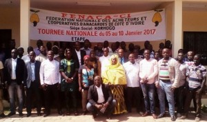 Côte d'Ivoire : Problèmes dans la filière Anacarde, la FENACA-CI  sensibilise les acheteurs de Katiola