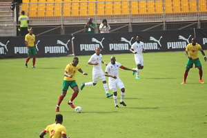 Cameroun: Les lions dominent les Léopards en match amical préparatoire pour le Can-Total Gabon 2017