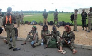 Côte d'Ivoire: Remous sociaux, les agents des eaux et forêt menacent à  leur tour