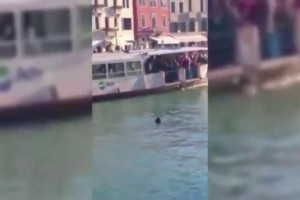 Afrique: A Venise, des italiens laissent mourir un africain se noyant sous leurs yeux
