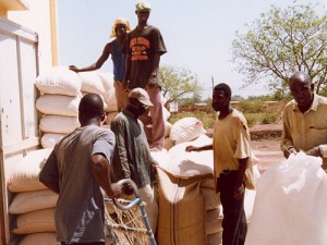 Burkina Faso: 4,705 millions de tonnes de productions céréalières attendues pour la campagne 2016-2017