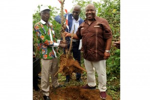 Gabon: Projet Graine, Ali Bongo récolte fièrement son premier manioc à  Makokou