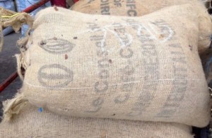 Côte d'Ivoire: Commercialisation du cacao, le Gouvernement note des «évolutions favorables»