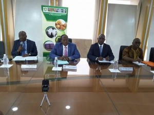 Côte d'Ivoire: Anacarde, environ 150 tonnes de noix de cajou interceptées à  la frontière du Ghana avant l'ouverture de la campagne